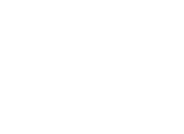 ROYALE INTERNATIONAL FREIGHT FORWARDING AGENCY CHI…