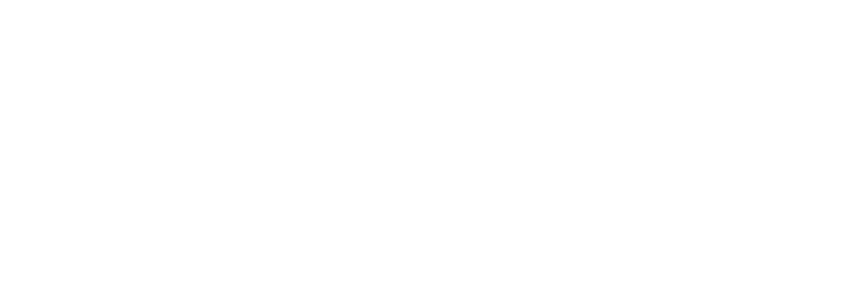 SHENZHEN LUCKY LOGISTICS LTD. SHUNDE